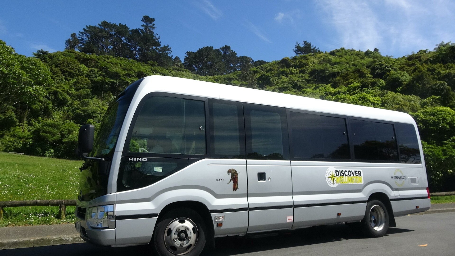 Bus Discover Wellington