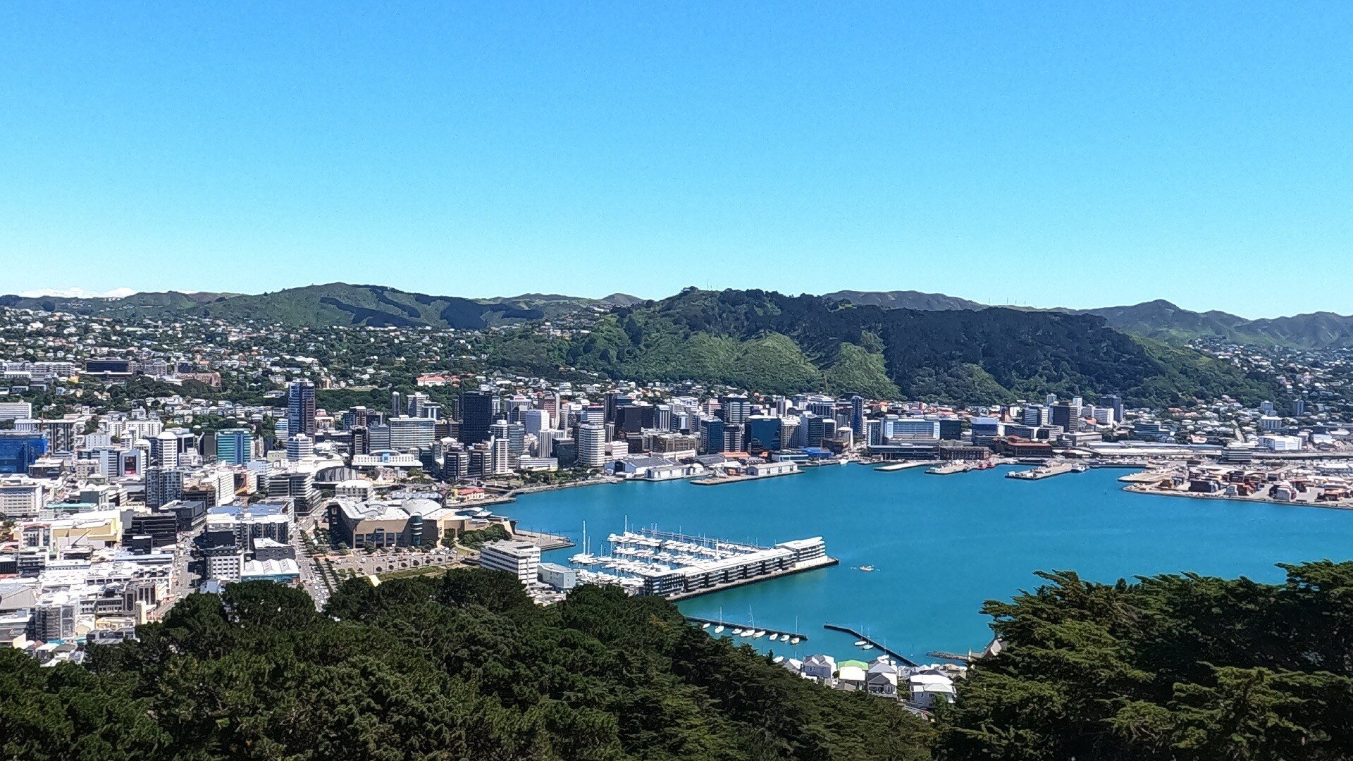 Mt Victoria lookout on a nice day